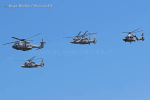 3 Panther, Caiman, H160