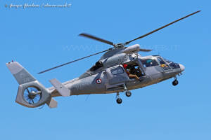 Dauphin 772