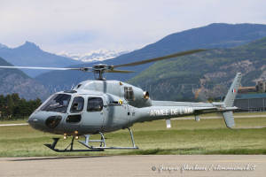 Fennec UT AdL 002