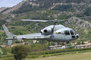 Fennec UT AdL 003