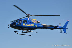 I-LRHQ Rubi Allesina