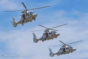 Panther 505, 507, 524