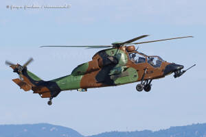 Tigre BJM